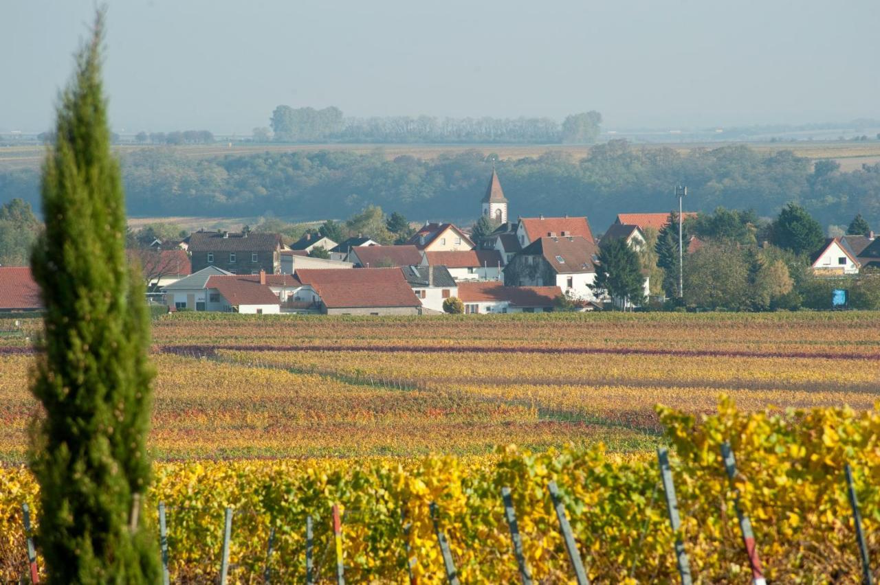 Gaestehaus & Weingut Peth Florsheim-Dalsheim Buitenkant foto